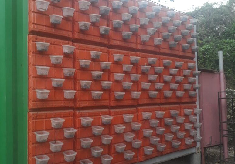 WhatsApp Image 2018-05-13 at 11.27.45 AM